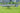 How UAV Fixed Wing Drones Are Transforming Land Surveying and GIS Mapping?