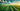 Revolutionizing Agriculture: The Rise of Multirotor Drones