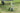 Skyeye Carbon fiber 6000mm UAV Fixed Wing Drone landing gear on grass.