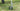 Skyeye 5000mm Carbon fiber fixed wing UAV Drones landing gear on grass.