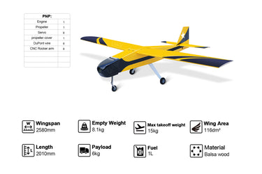 Skyeye 50cc practice drone flying UAV Fixed Wing