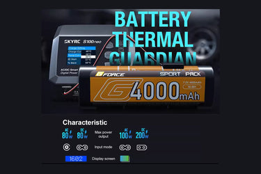 SkyRC S100 NEO Single-Channel Balance Charger