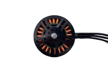 MAKEFLYEASY Pioneer Cruise Motor 6525 KV180